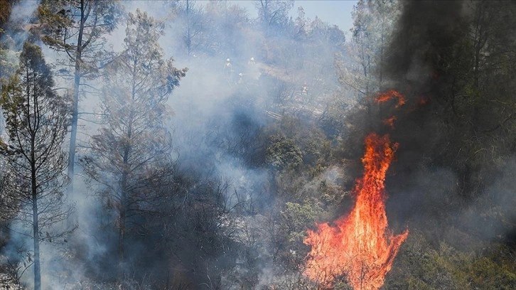 ABD'nin California eyaletindeki orman yangınları nedeniyle tahliye çalışmaları başladı