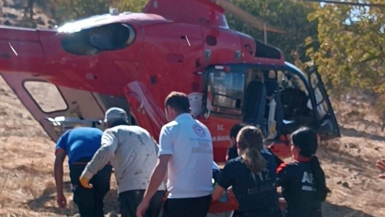 Ağaçtan düştü, ambulans helikopterle hastaneye kaldırıldı