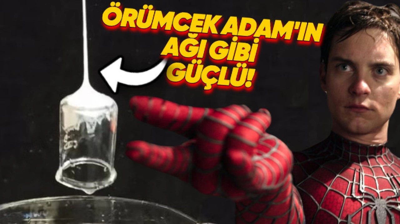 Bilim İnsanları, Örümcek Adam'ın Ağlarını Gerçeğe Dönüştürdü