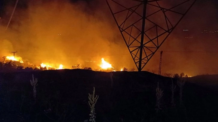 Bingöl’de ormanlık alanda çıkan örtü yangını, söndürüldü