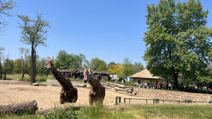 Bursa Hayvanat Bahçesi ziyaretçi rekoru kırdı