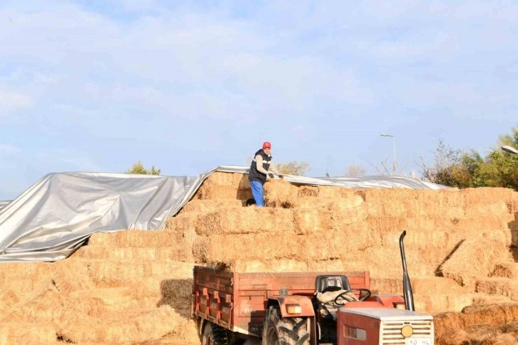 Büyükşehir’den küçük üreticiye ot balyası desteği