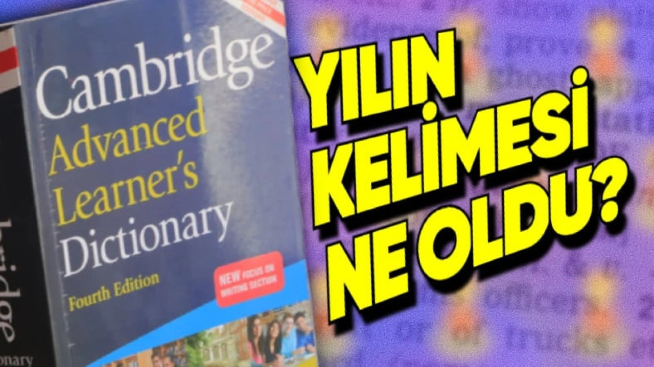 Cambridge, Yılın Kelimesini Açıkladı