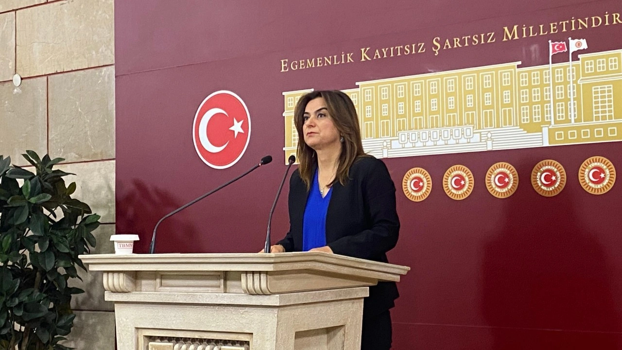 DEM Parti'li Koçyiğit: "1 hafta boyunca TBMM çalışmalarına katılmayacağız"