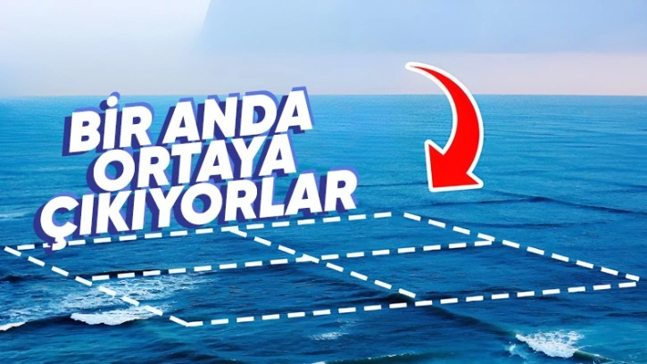 Denizde Gördüğünüz An Kaçmanız Gereken 