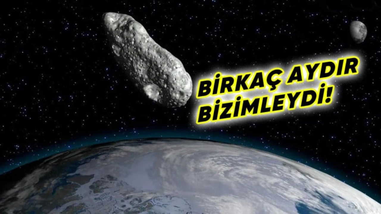 Dünya, 