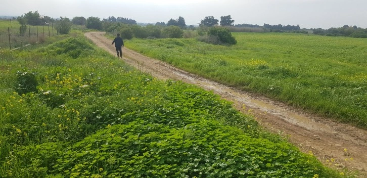 Güzelyurt Hayvanları Koruma Derneğinden İçişleri Bakanlığına teşekkür…