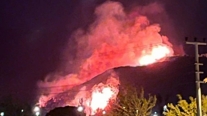 İzmir'in Urla ilçesinde orman yangını