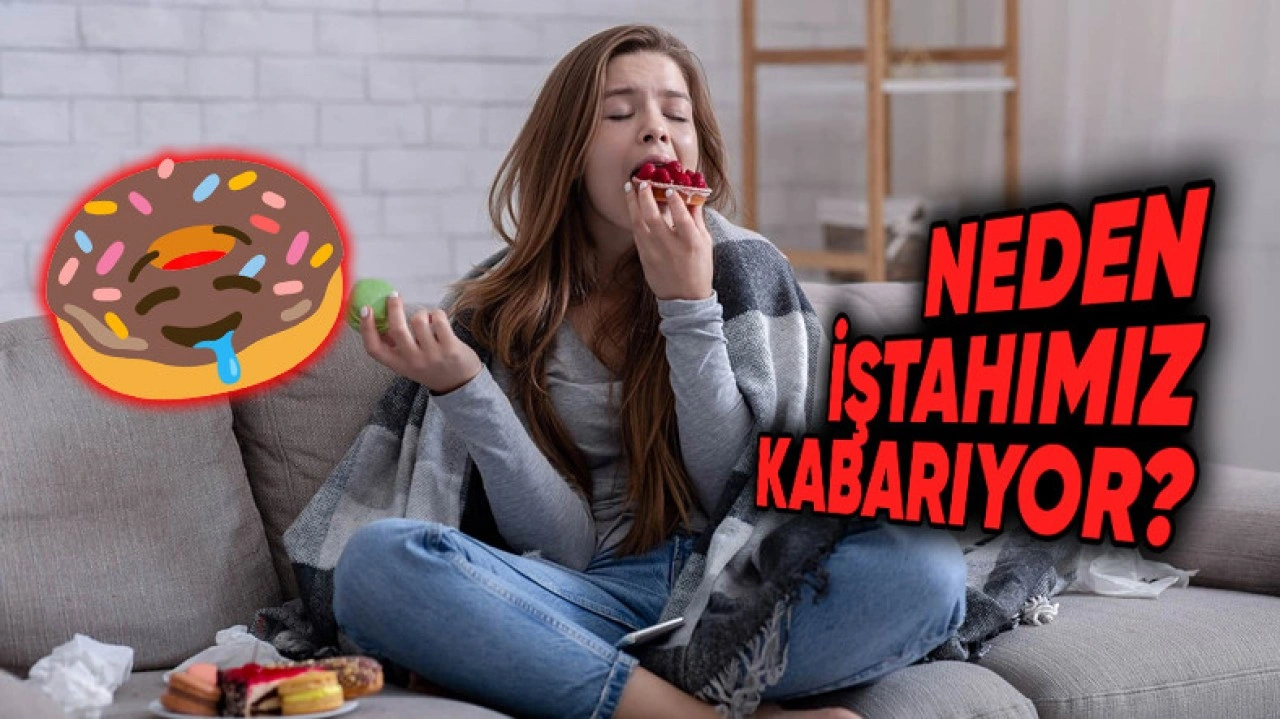 Kışın Daha Fazla Yemek Yeme İsteğimizin Altındaki Sebepler