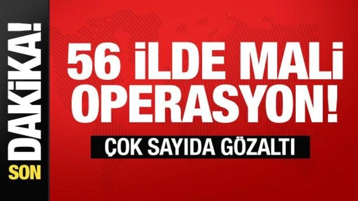 Mali suç örgütlerine 56 ilde 'Kafes' operasyonu: 150 gözaltı