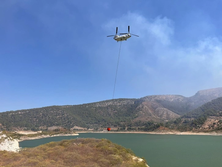 Muğla'nın Milas ilçesinde orman yangını çıktı