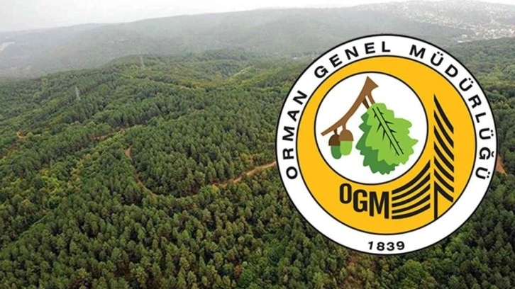 OGM'den 'yanan ormanların imara açıldığı' iddiasına yalanlama