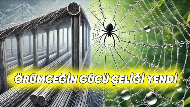 Örümcek Ağları Nasıl Çelikten 5 Kat Daha Güçlü Oluyor?