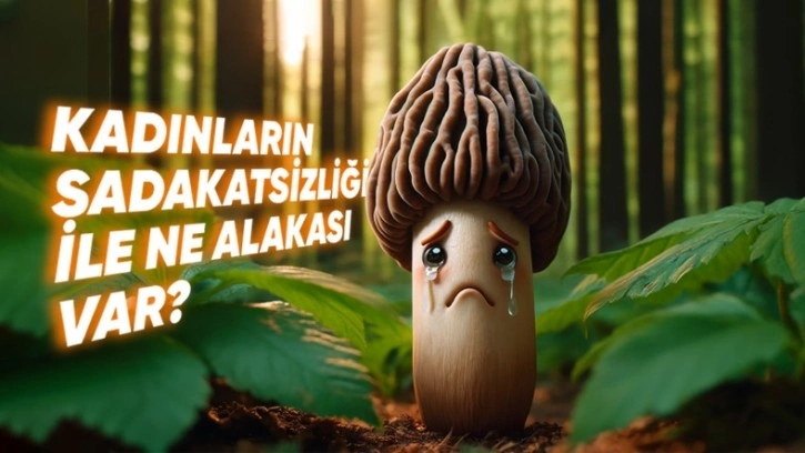 Penis Başı Neden Mantar Şeklinde?