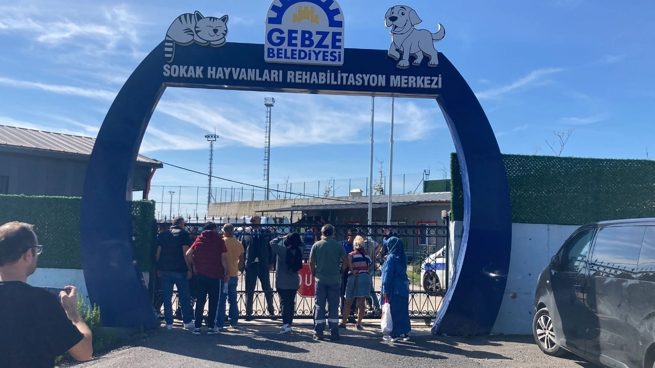 Rehabilitasyon merkezinde 45 hayvanın iğneyle öldürüldüğü iddiasında gelişme