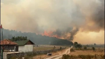 Ankara'da çıkan yangın Bolu'ya sıçradı