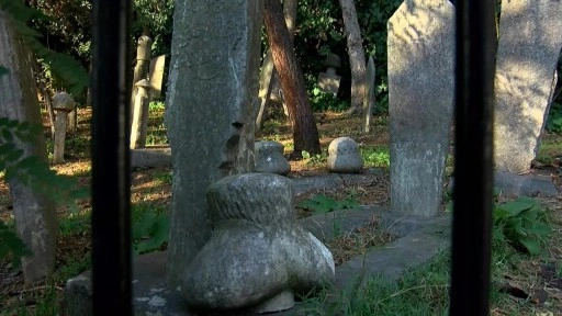 Beykoz'daki tarihi mezarlık harabeye döndü