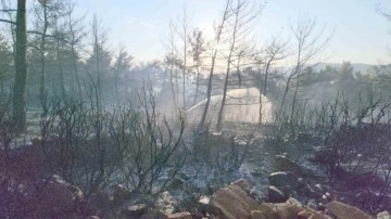 Bodrum'daki orman yangını 18 saat sonra kontrol altına alındı