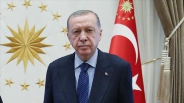 Cumhurbaşkanı Erdoğan, İnce hakkındaki şikayetinden vazgeçti