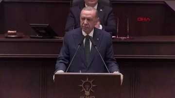Cumhurbaşkanı Erdoğan 'sokak hayvanları düzenlemesi'ni anlattı