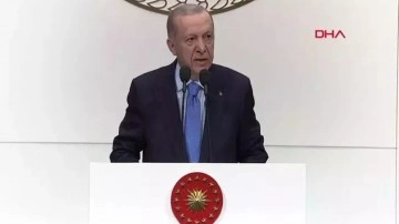 Cumhurbaşkanı Erdoğan: "Tüm makam sahipleri daha hassas davranmalı"