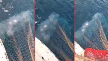 Denizden ağlarını çeken balıkçılar şaştı kaldı! Antalya’da balıkçı ağları denizanasıyla doldu