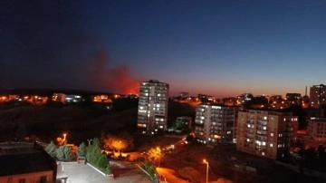 Diyarbakır’da anız yangını, 3 saatte söndürüldü