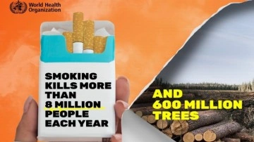 DSÖ: "Her yıl 8 milyon insan tütün kullanımından hayatını kaybediyor"