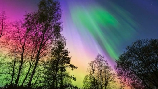 Dünya Meteoroloji Örgütü fotoğraf yarışması kazananları açıklandı