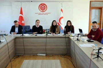 Ekonomi, Maliye, Bütçe ve Plan Komitesi bugün toplandı