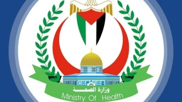 Filistin Sağlık Bakanlığı: "Saldırılarda 34 bin 535 sivil öldü"