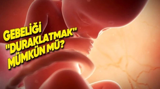 Gebeliği Duraklatmayı Sağlayan Özellik, İnsanlarda da Çalışabilir