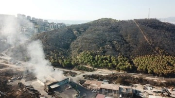 İzmir'de, Karşıyaka ve Urla’daki yangınlar kontrol altına alındı