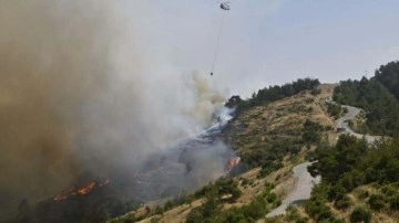 İzmir'deki orman yangınında ikinci gün