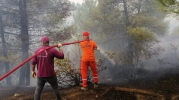 Kahramanmaraş’taki yangında 15 hektar orman zarar gördü