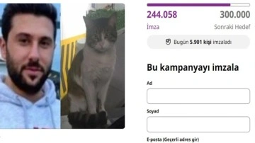 Kedi katilinin tutuklanması için 250 bin imza