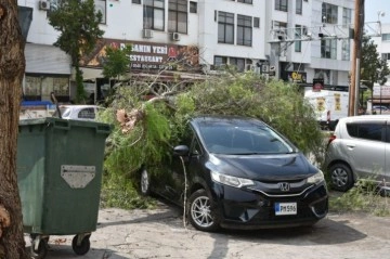 Kısa süreli şiddetli yağış hasara neden oldu