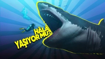 Megalodon’un Fantastik Özellikleri