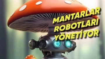 Mühendisler Bir Mantarı Robota Bağladı ve Serbest Bıraktı!