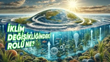 Okyanuslar Dünyanın İklimini Nasıl Düzenler?