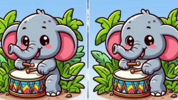 Ormanda davul çalan iki sevimli fil arasındaki 3 farkı 9 saniyede görebilenler yüksek IQ'lu