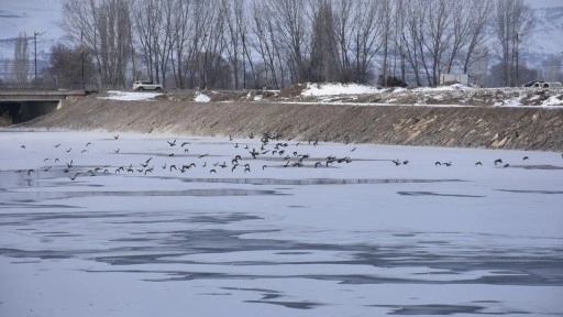 Sivas eksi 18'i gördü, Kızılırmak Nehri kısmen dondu