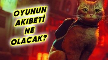 Stray'in Yayımcı Şirketindeki Tüm Çalışanlar İstifa Etti