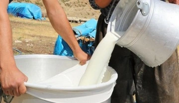 Süt üretimi yüzde 7,9 azaldı