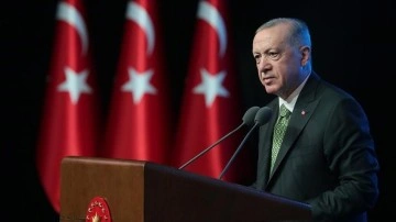 TC Cumhurbaşkanı Erdoğan'dan İran Cumhurbaşkanı Vekili Muhbir'e taziye telefonu