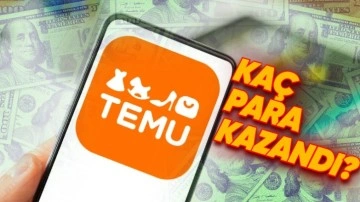 Temu'nun Çatı Şirketi, Kaç Para Kazandığını Açıkladı