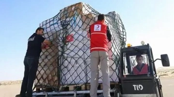 Türkiye'den Gazze'ye 42 bin ton yardım