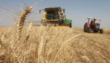 TZOB Başkanı Bayraktar: Buğday ekimleri 20 gün ile 1 ay ileri kaydı