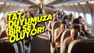 Uçakta Tat Alma Duyumuz Neden İlginç Bir Şekilde Değişiyor?