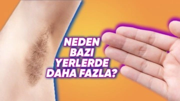 Vücudumuzun Bazı Bölgeleri Neden Daha Fazla Kıllanıyor?